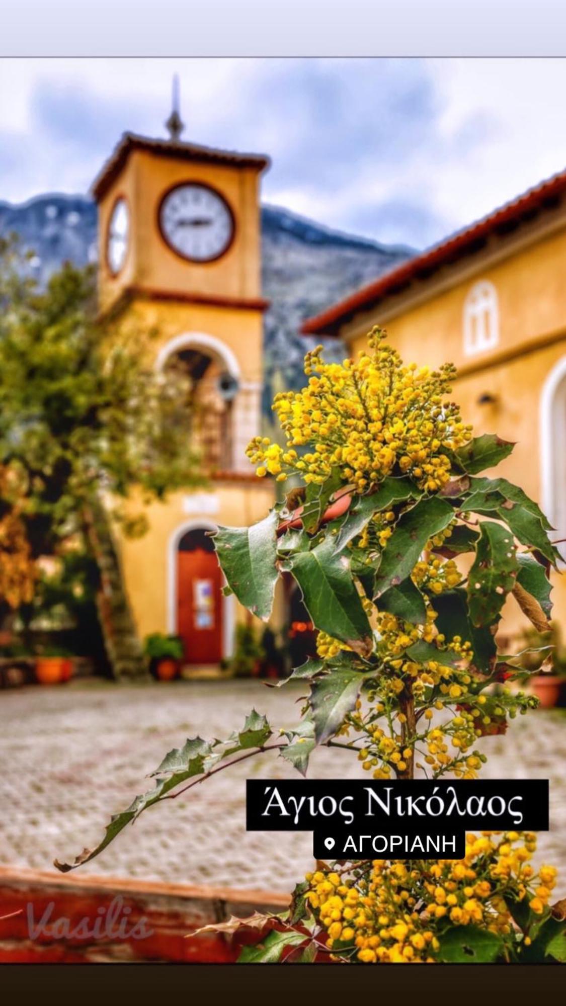 Asimina Guesthouse, Eptalofos Parnassos Extérieur photo
