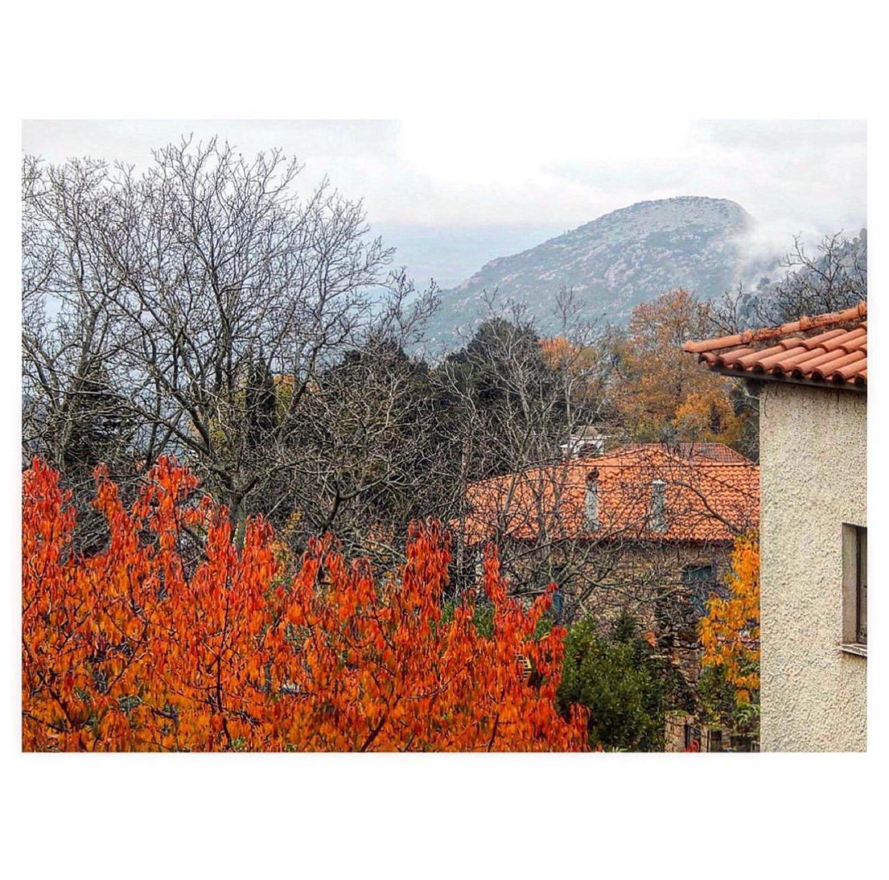 Asimina Guesthouse, Eptalofos Parnassos Extérieur photo
