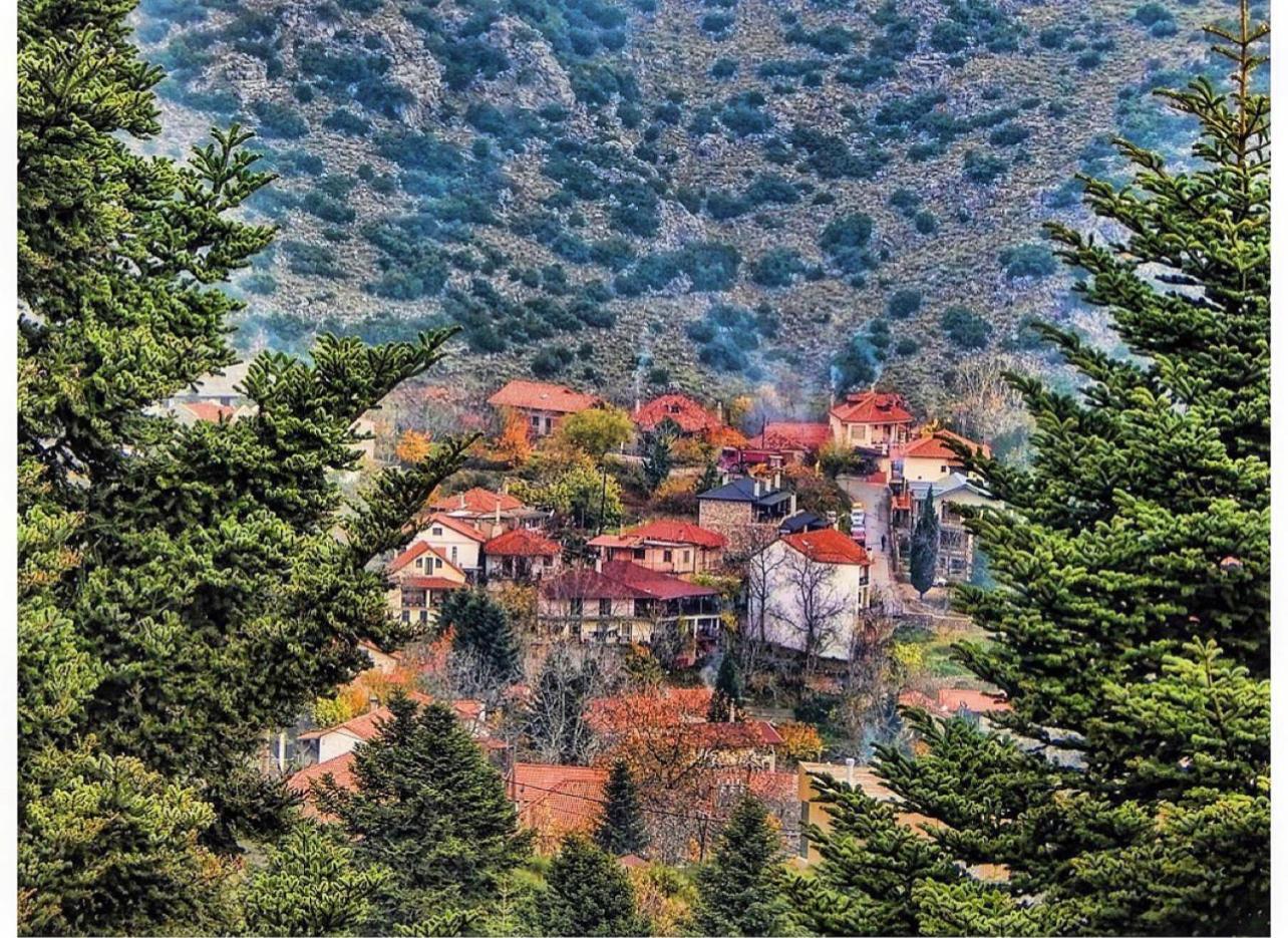 Asimina Guesthouse, Eptalofos Parnassos Extérieur photo